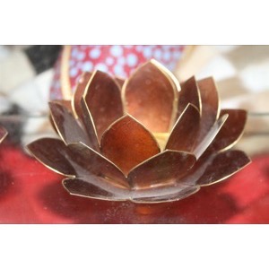 Lotus Blomst Brown